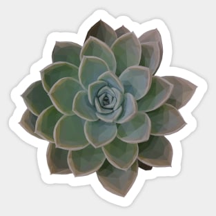 Low Poly Green Succulent Sticker